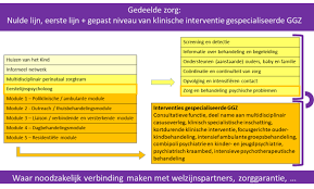 groepsbegeleiding en groepsbehandeling in de gezondheidszorg